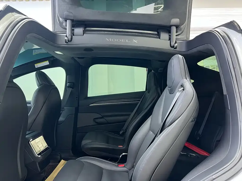 Tesla Model X 2023 из CN, фото 9