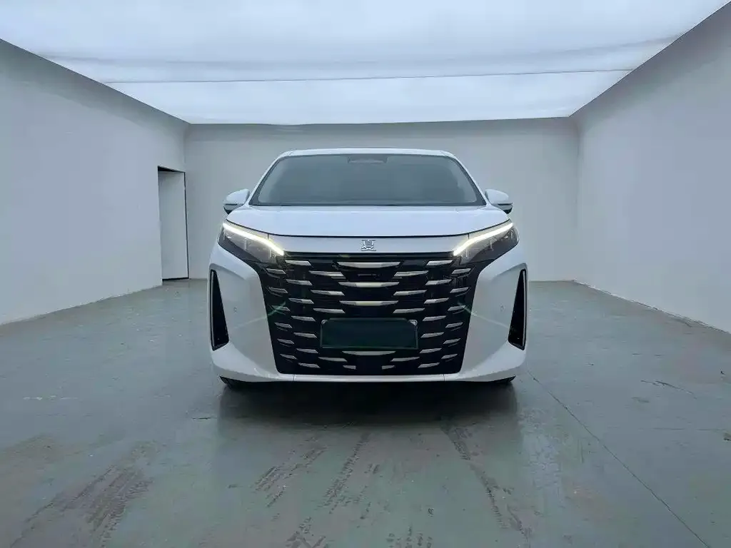 BYD Xia 2025 из CN, фото 2