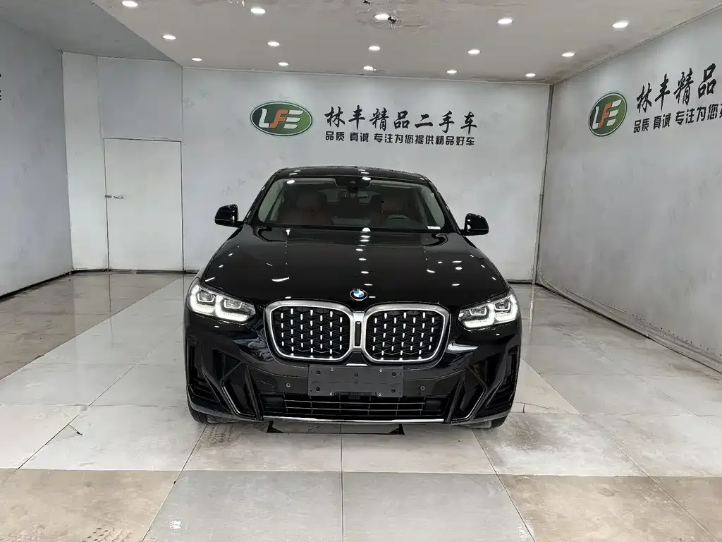 BMW X4 2023 из CN, фото 2