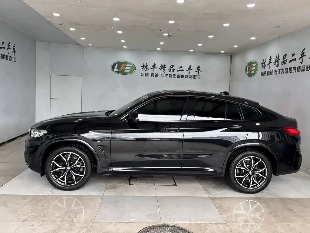 BMW X4 2023 из CN, фото 4