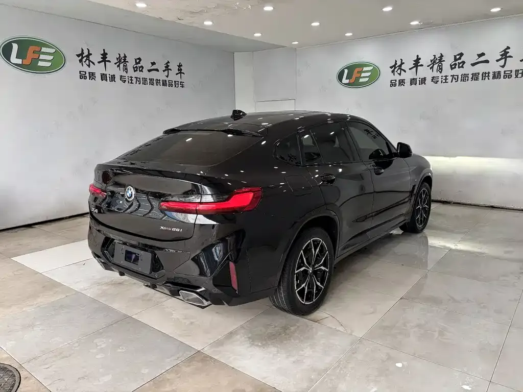 BMW X4 2023 из CN, фото 5