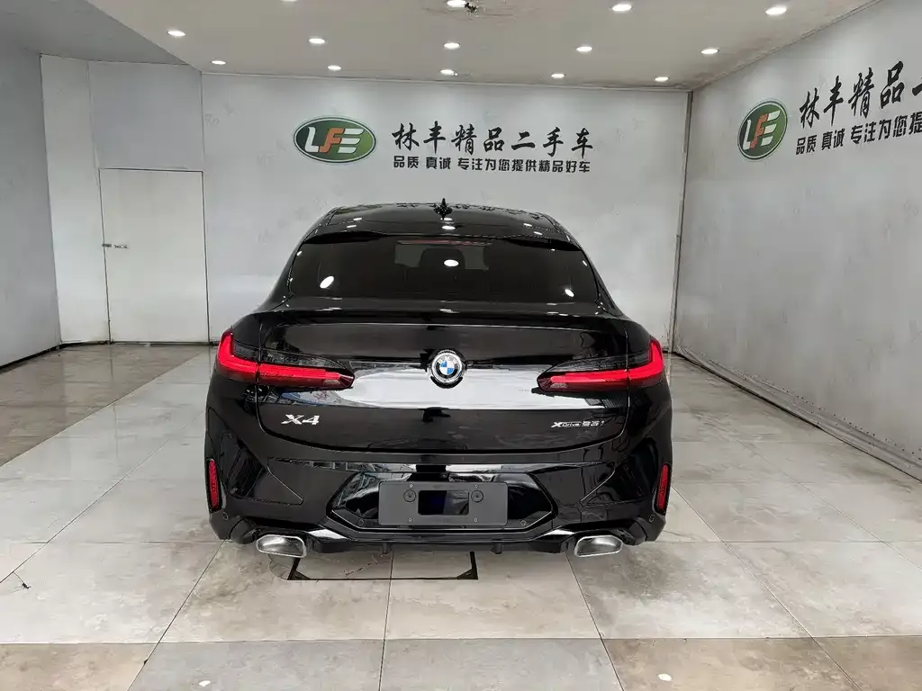 BMW X4 2023 из CN, фото 6