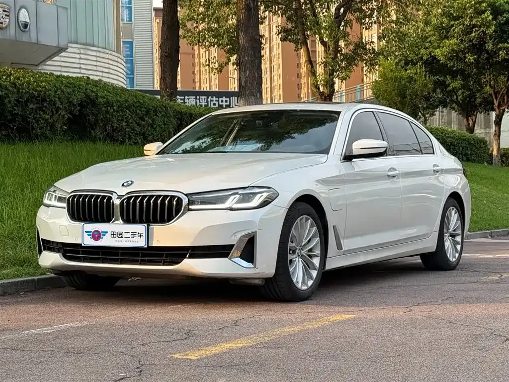 BMW 5 Series New Energy 2021 из CN, фото 1