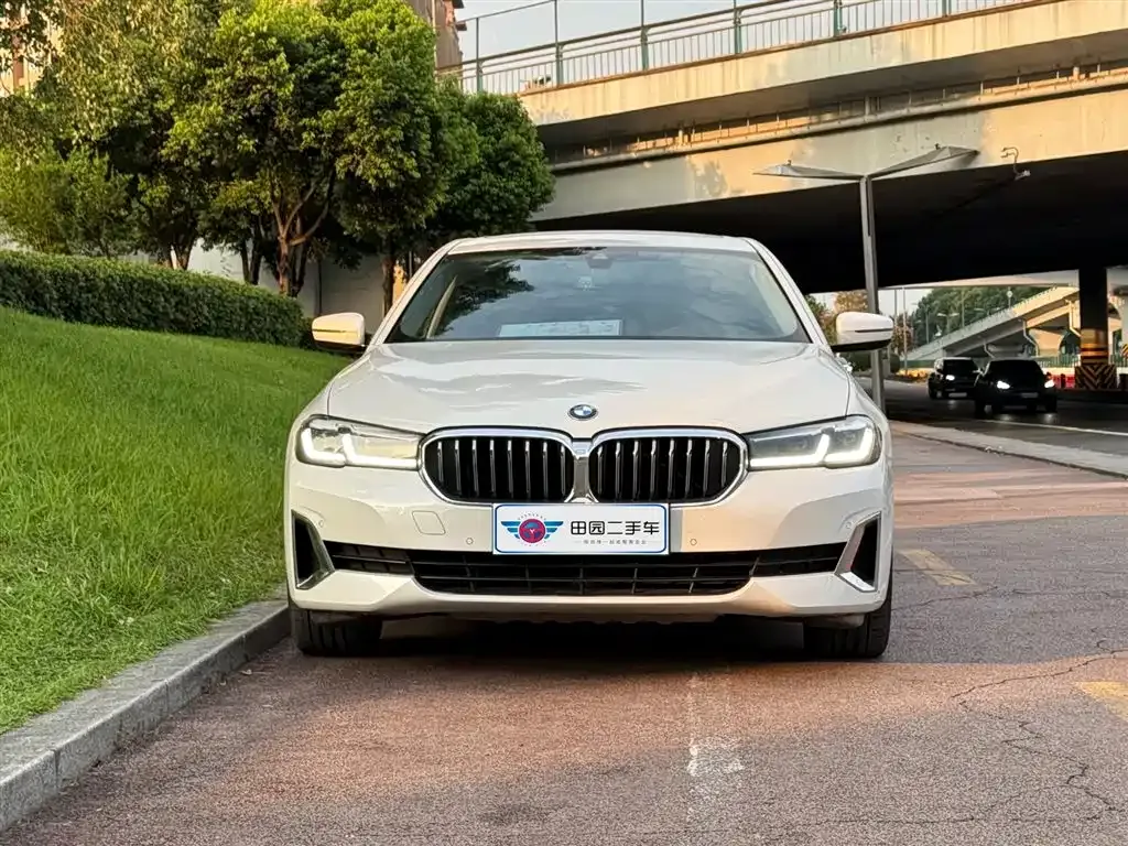 BMW 5 Series New Energy 2021 из CN, фото 2