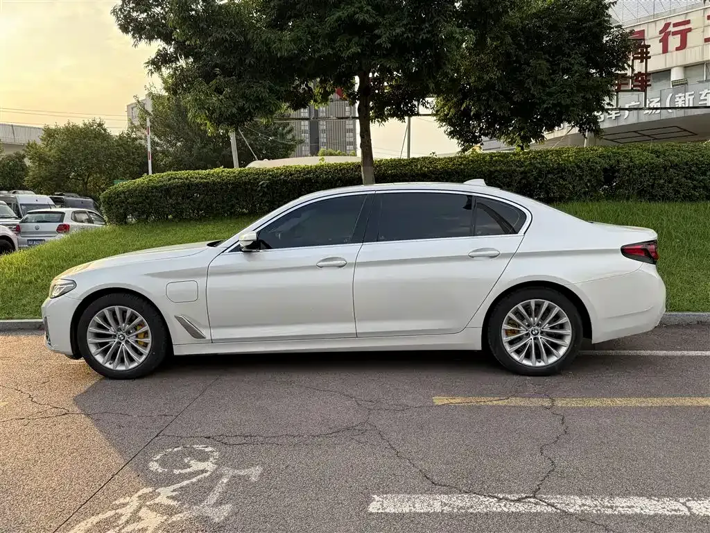 BMW 5 Series New Energy 2021 из CN, фото 3