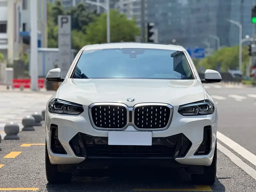 BMW X4 2024 из CN, фото 2