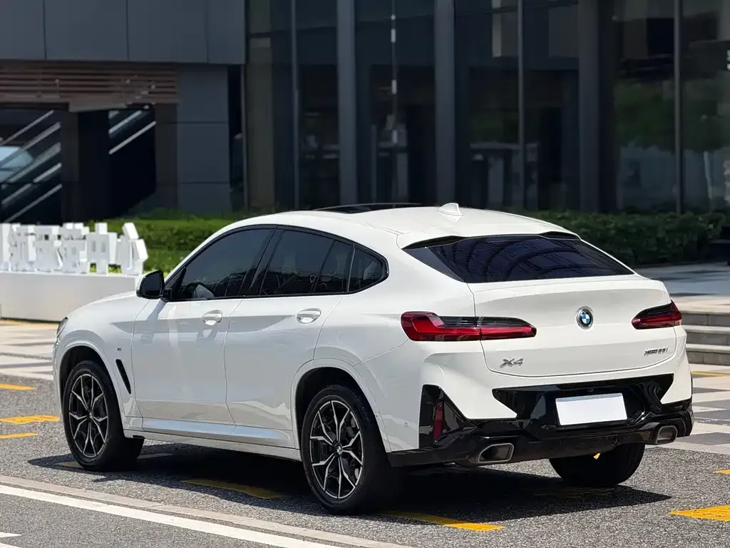 BMW X4 2024 из CN, фото 3