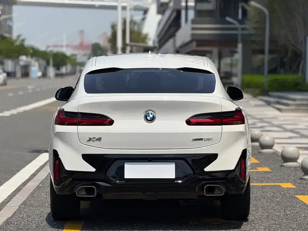 BMW X4 2024 из CN, фото 4