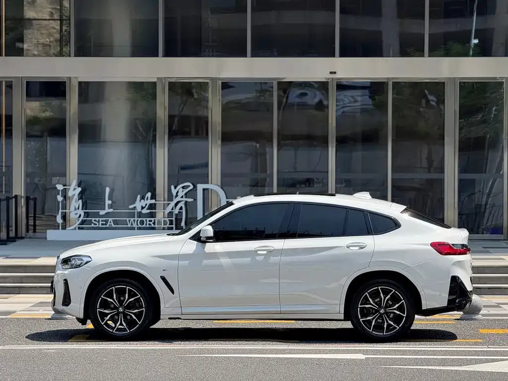 BMW X4 2024 из CN, фото 5