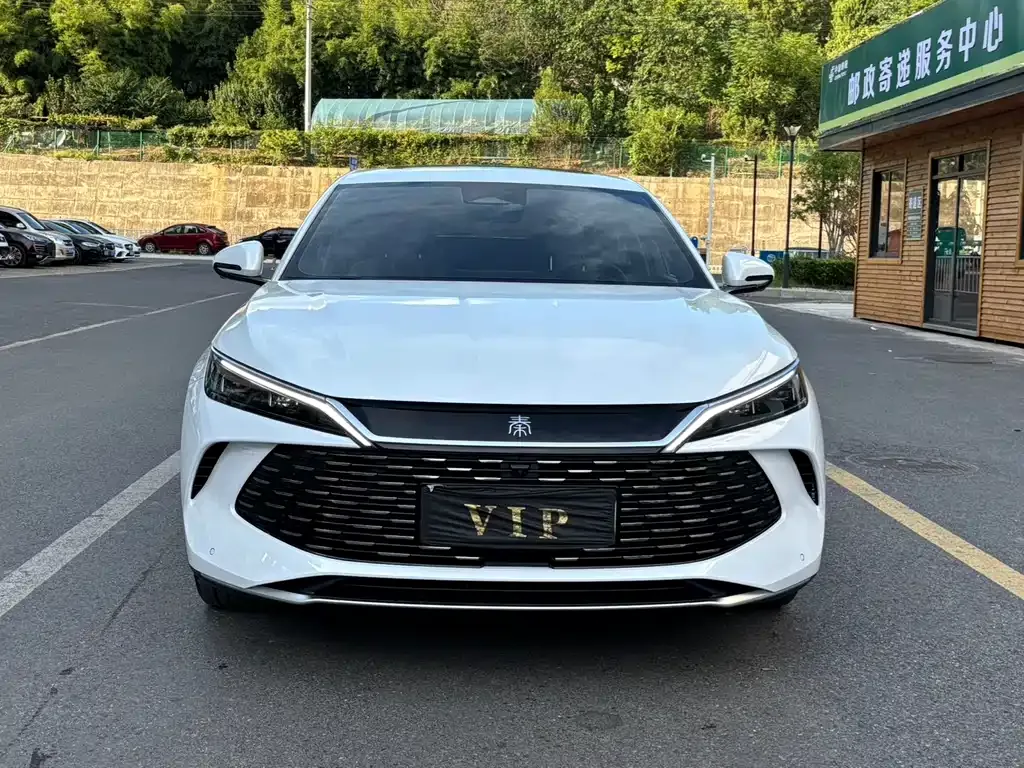 BYD Qin L — фото 1