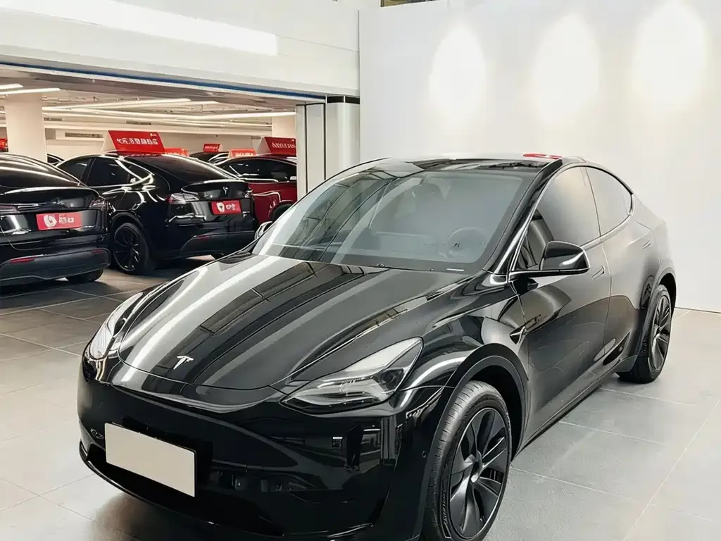 Tesla Model Y 2024 из CN, фото 2