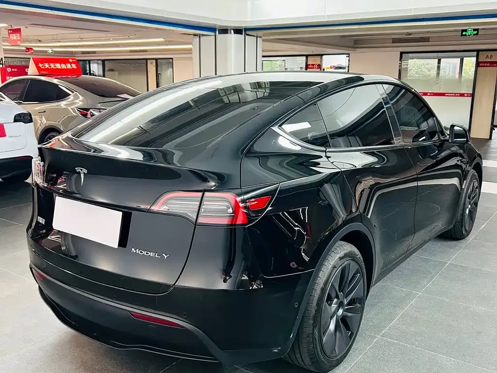 Tesla Model Y 2024 из CN, фото 6