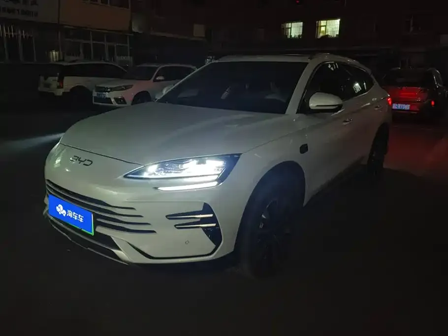 BYD PLUS New Energy 2025 из CN, фото 1
