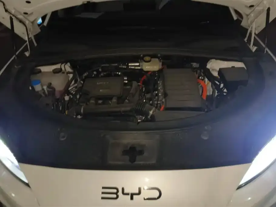 BYD PLUS New Energy 2025 из CN, фото 10