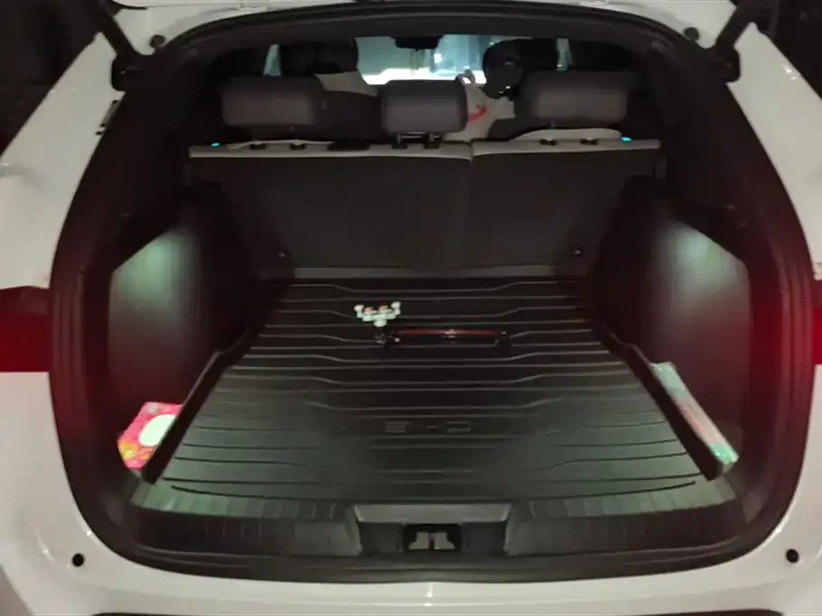 BYD PLUS New Energy 2025 из CN, фото 4