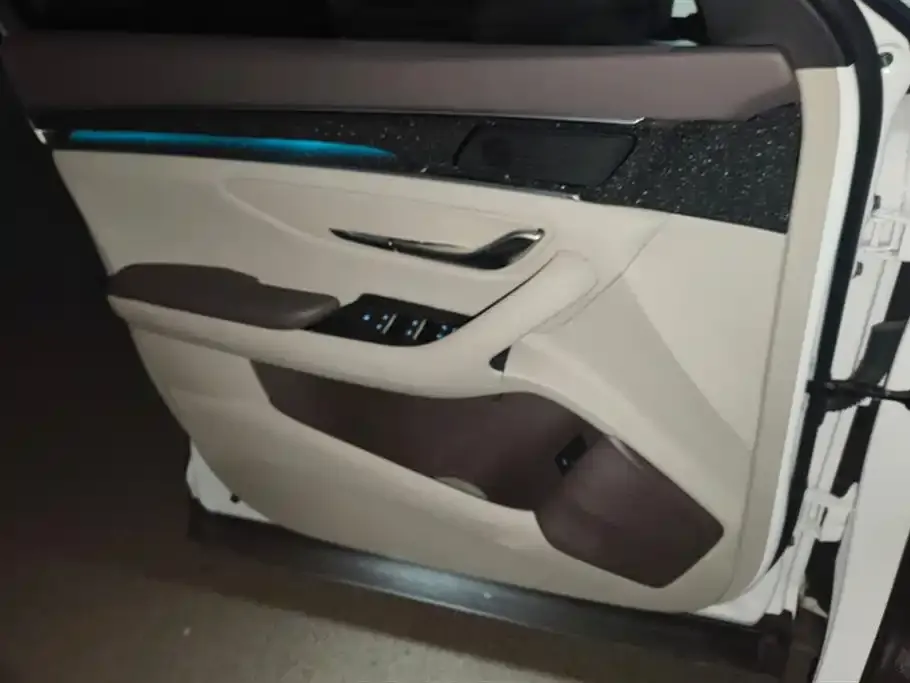 BYD PLUS New Energy 2025 из CN, фото 7