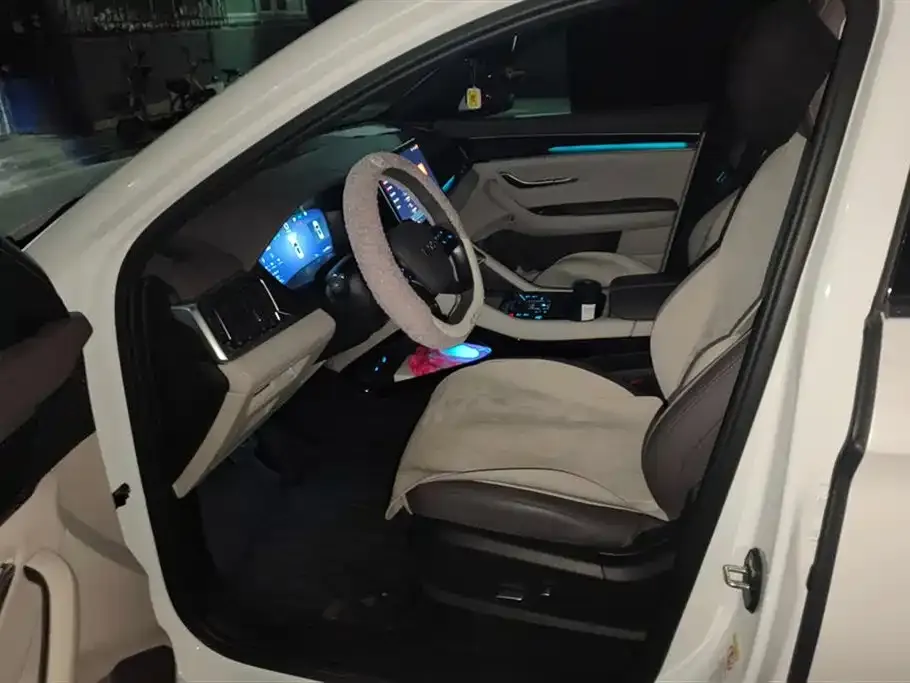 BYD PLUS New Energy 2025 из CN, фото 9