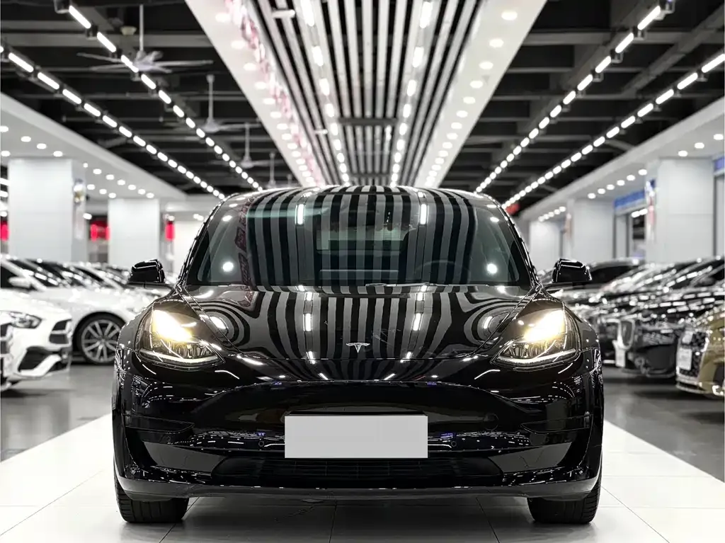 Tesla Model 3 2022 из CN, фото 2