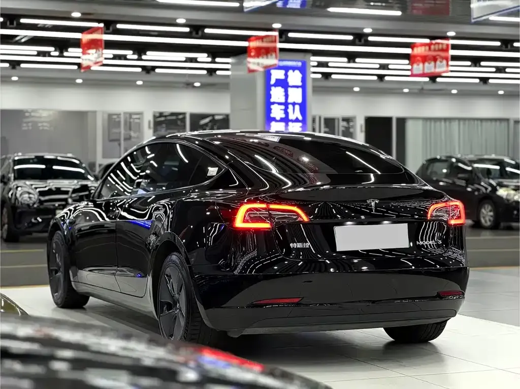 Tesla Model 3 2022 из CN, фото 4