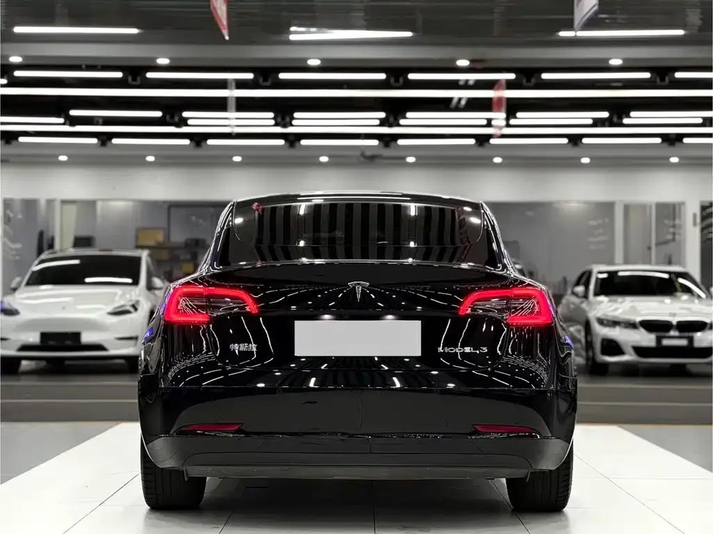 Tesla Model 3 2022 из CN, фото 5