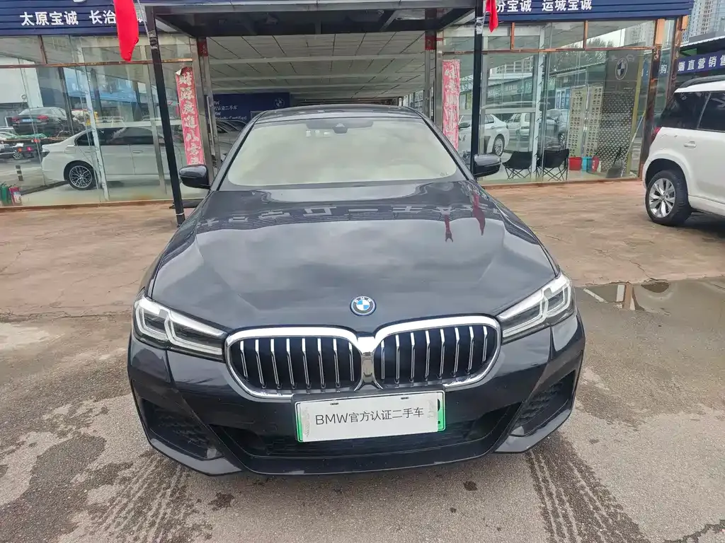 BMW 5 Series New Energy 2022 из CN, фото 2