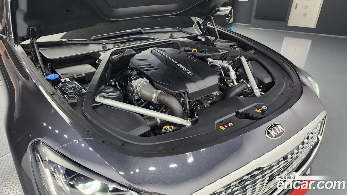 [object Object] K9 2021 из KR, фото 6