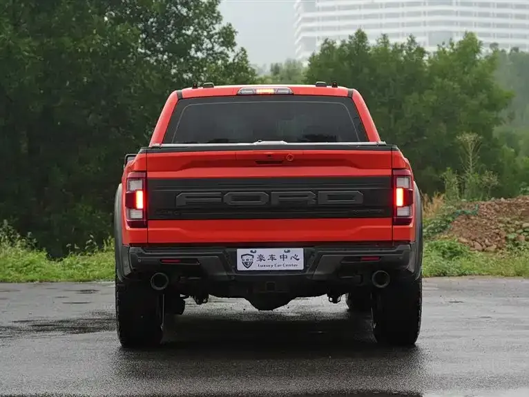 [object Object] F-150 Raptor 2024 из CN, фото 4