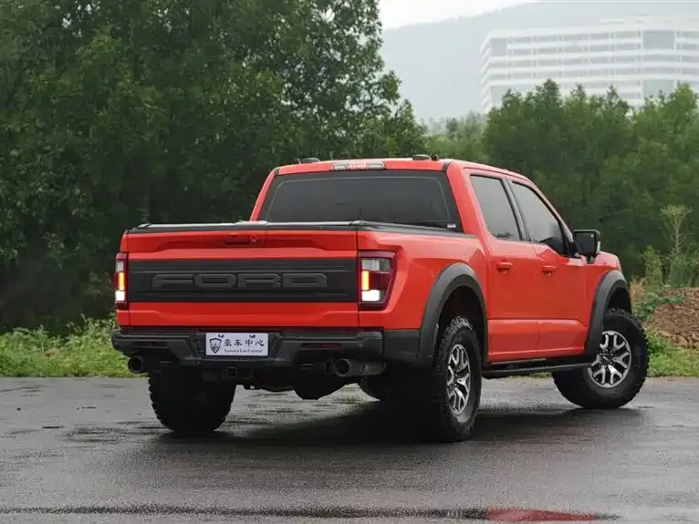 [object Object] F-150 Raptor 2024 из CN, фото 6