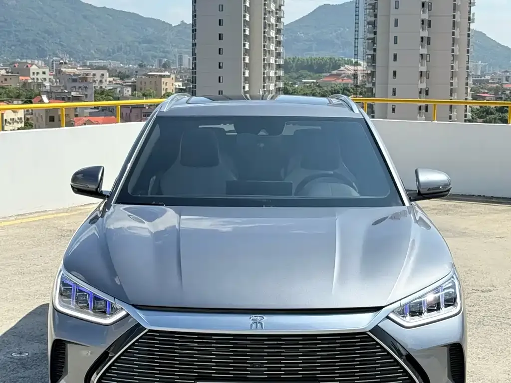 BYD PLUS New Energy 2023 из CN, фото 2