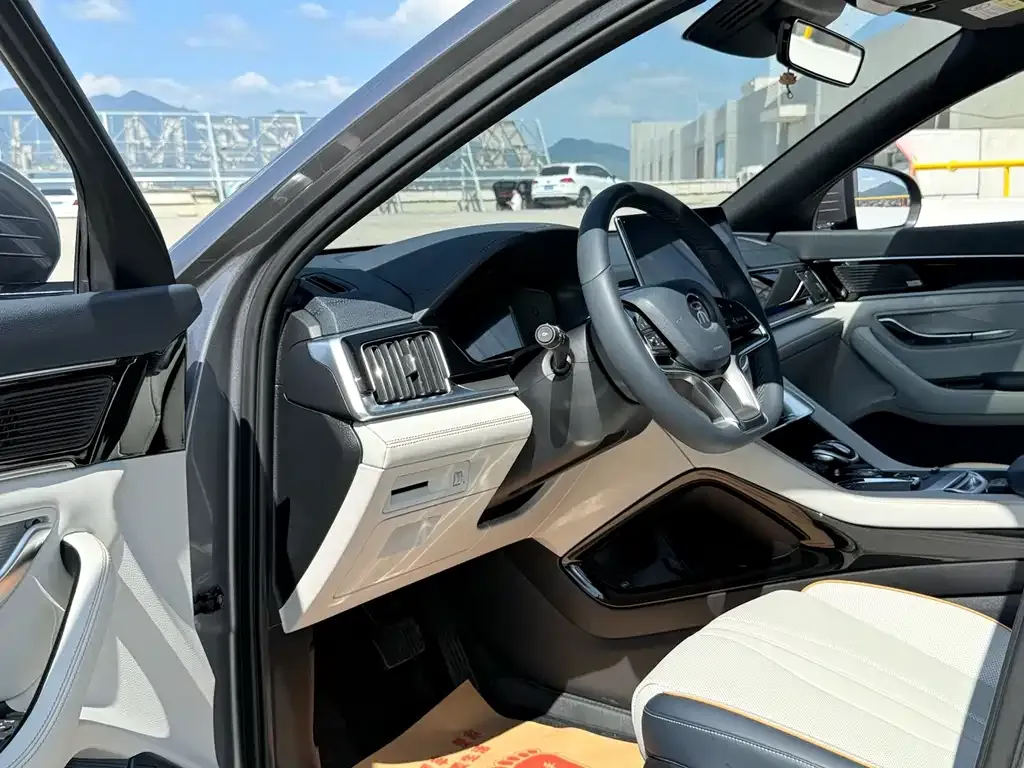 BYD PLUS New Energy 2023 из CN, фото 5