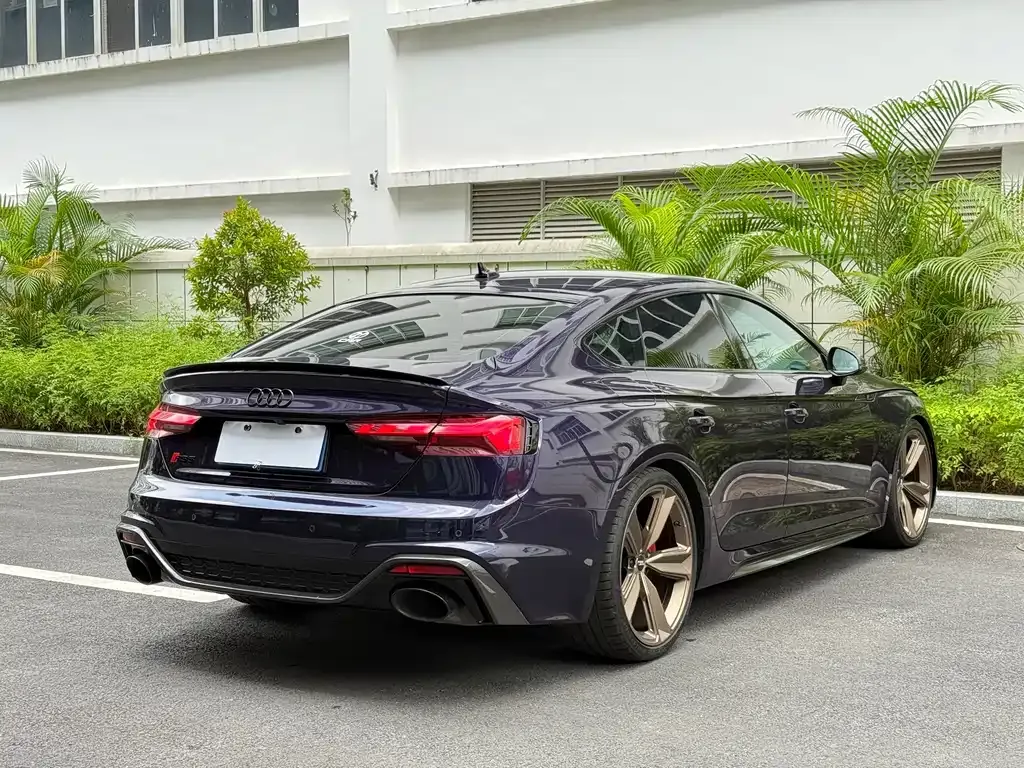 [object Object] RS 5 2023 из CN, фото 4