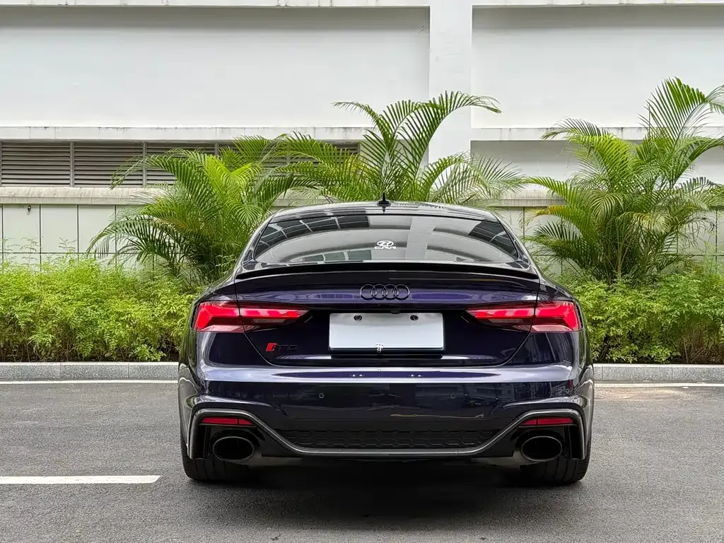 [object Object] RS 5 2023 из CN, фото 5