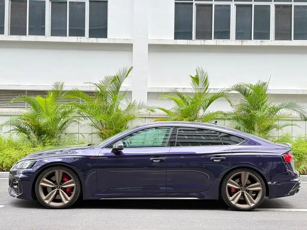 [object Object] RS 5 2023 из CN, фото 7