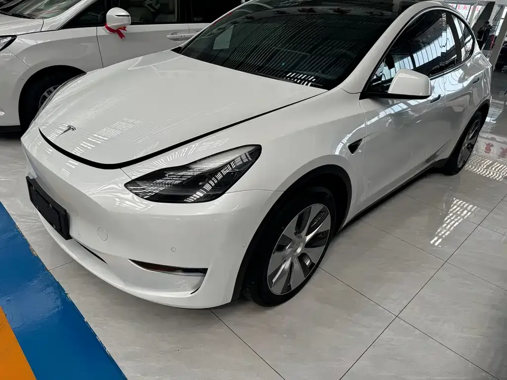 Tesla Model Y 2021 из CN, фото 1