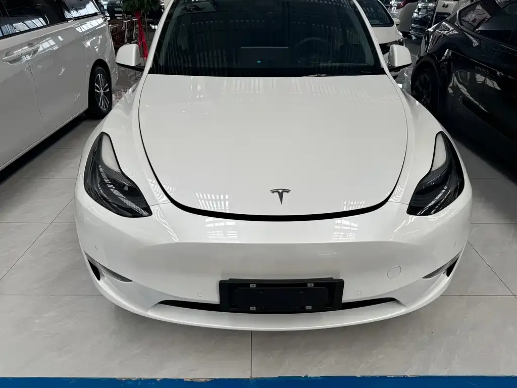 Tesla Model Y 2021 из CN, фото 2