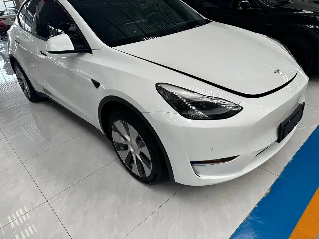 Tesla Model Y 2021 из CN, фото 3