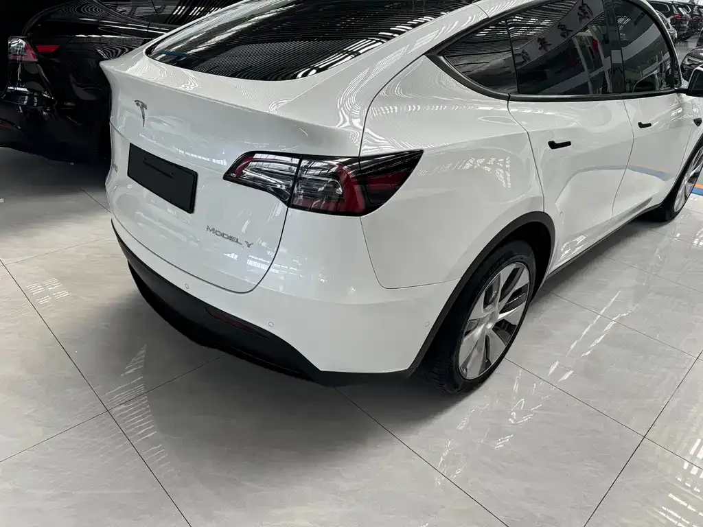 Tesla Model Y 2021 из CN, фото 7
