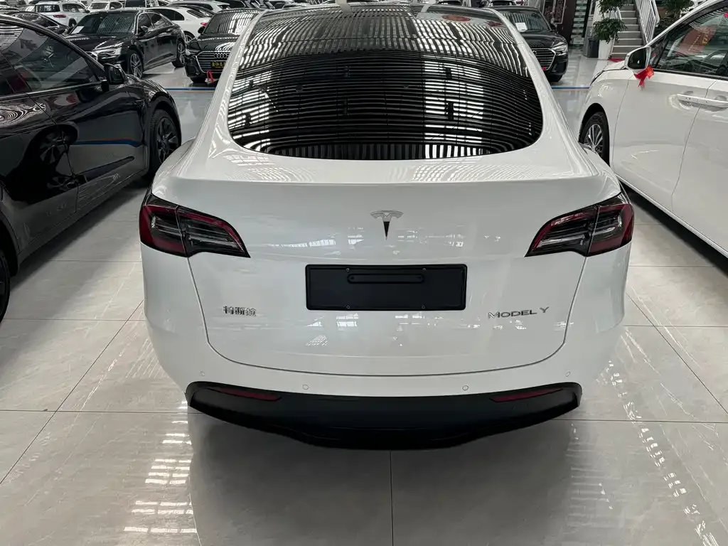 Tesla Model Y 2021 из CN, фото 8