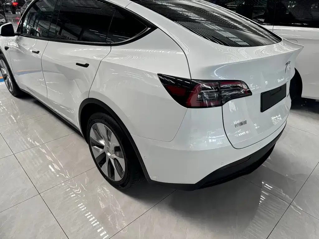 Tesla Model Y 2021 из CN, фото 9