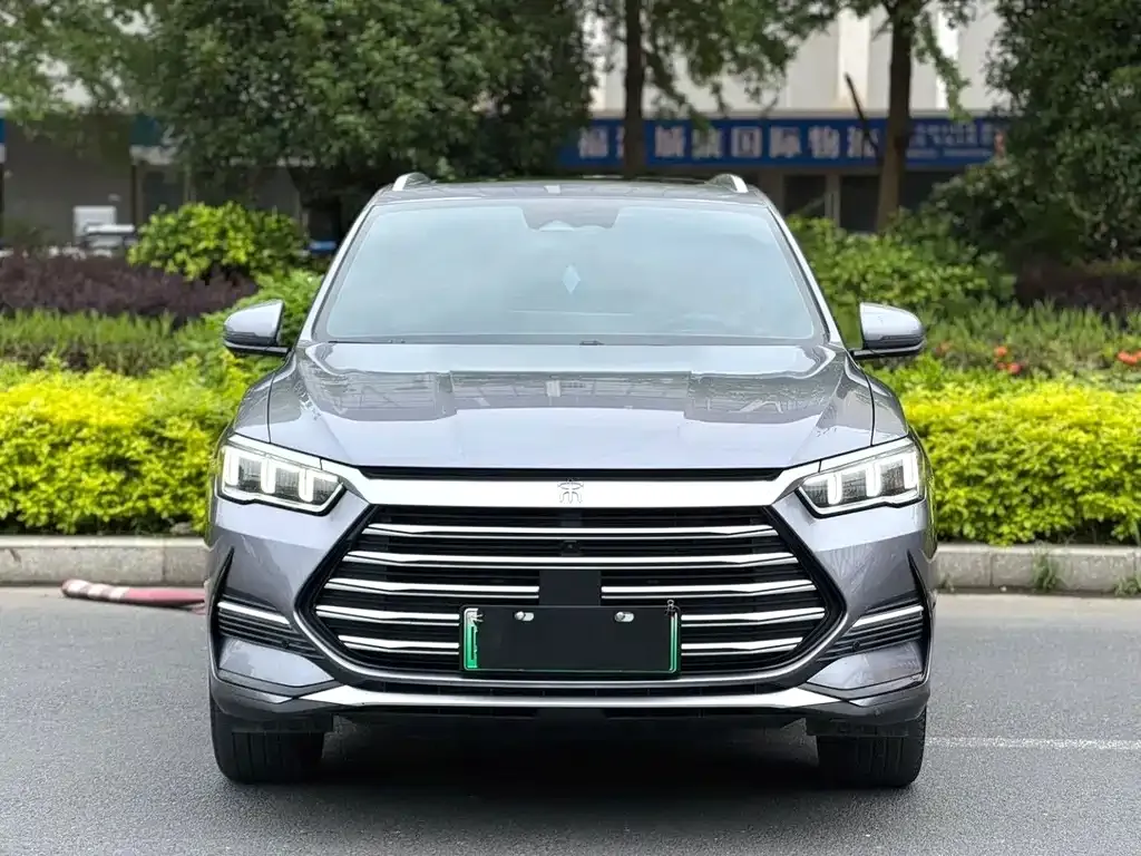 BYD Pro New Energy 2023 из CN, фото 2
