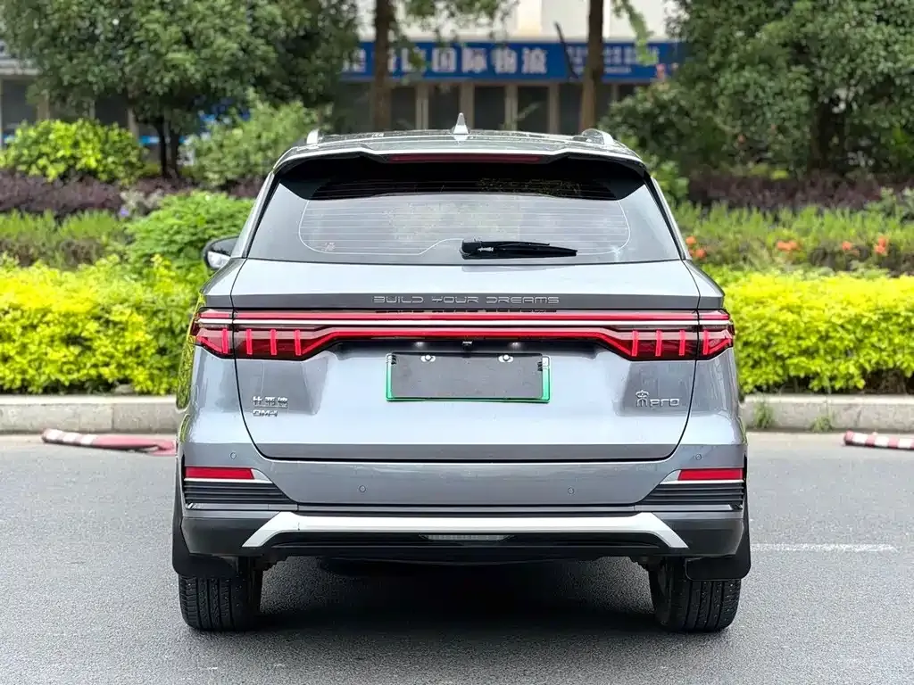 BYD Pro New Energy 2023 из CN, фото 3
