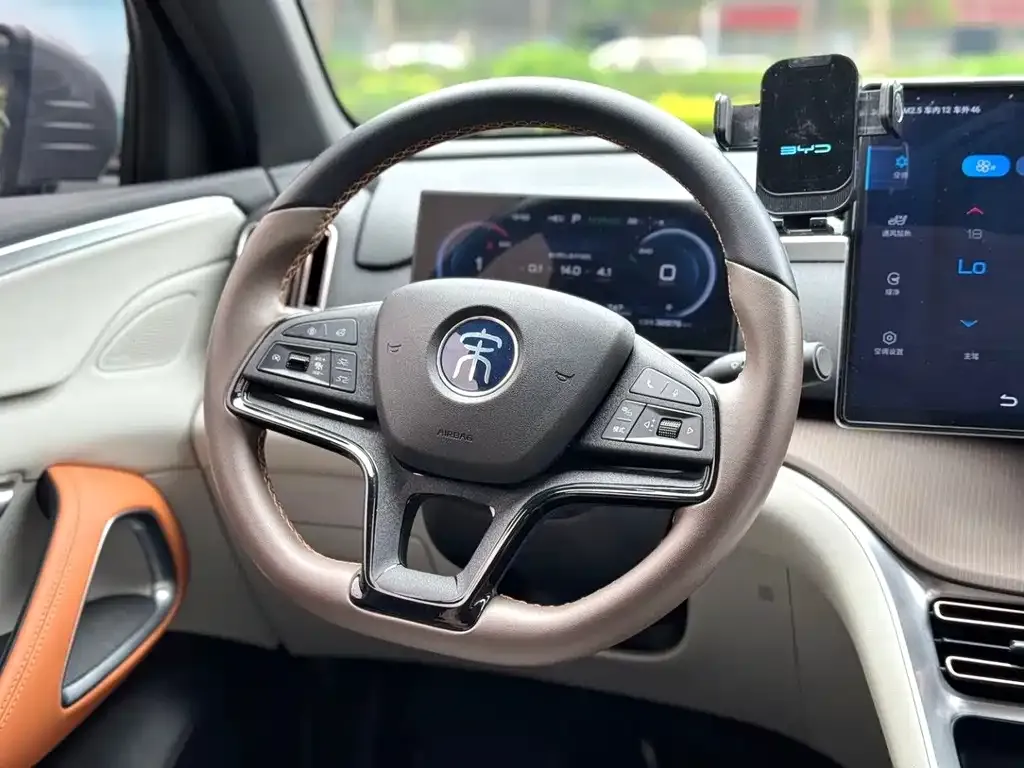 BYD Pro New Energy 2023 из CN, фото 8