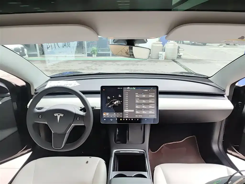 Tesla Model 3 2021 из CN, фото 10