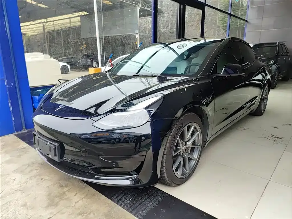 Tesla Model 3 2021 из CN, фото 2