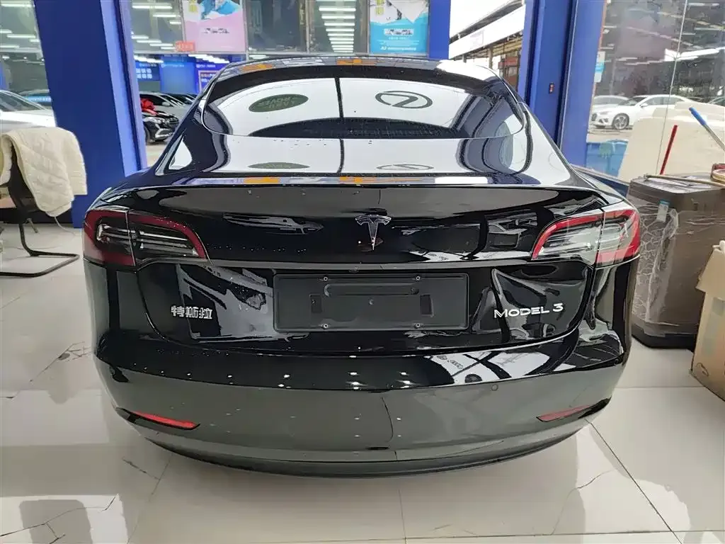 Tesla Model 3 2021 из CN, фото 6