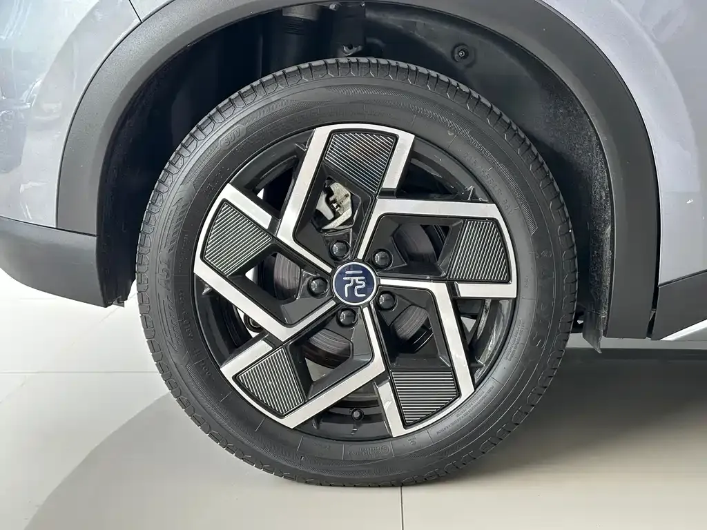 BYD Yuan Plus 2024 из CN, фото 9