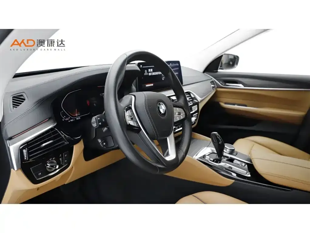 BMW 6 Series GT 2022 из CN, фото 6