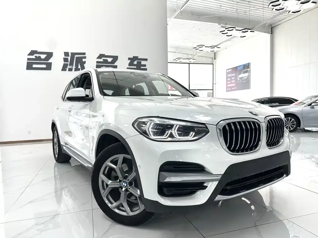 BMW X3 2021 из CN, фото 4