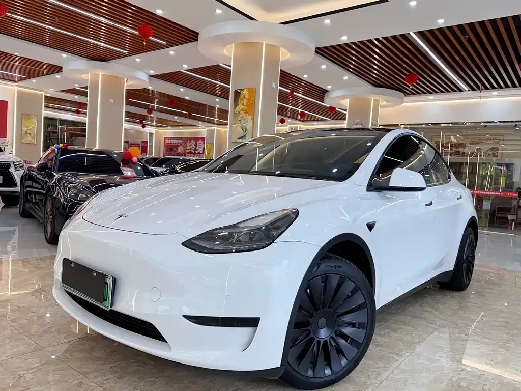 Tesla Model Y 2023 из CN, фото 1
