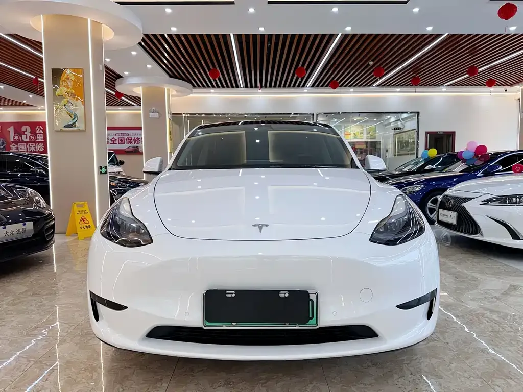 Tesla Model Y 2023 из CN, фото 2